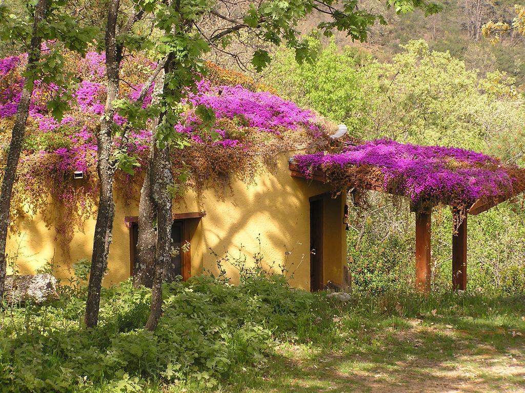 Apartamentos Rurales Ecopangea Valverde de la Vera Номер фото