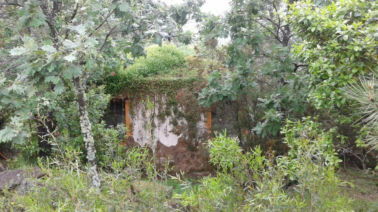 Apartamentos Rurales Ecopangea Valverde de la Vera Экстерьер фото