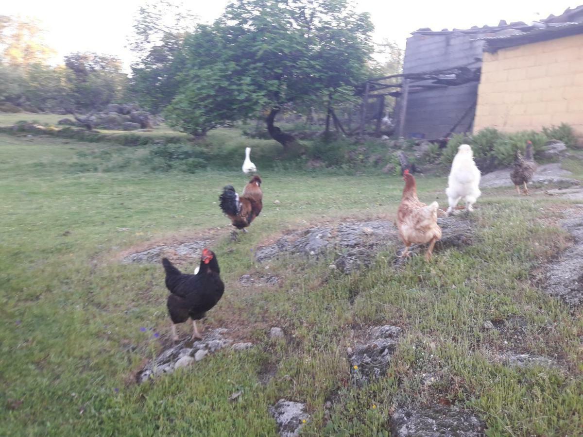 Apartamentos Rurales Ecopangea Valverde de la Vera Экстерьер фото