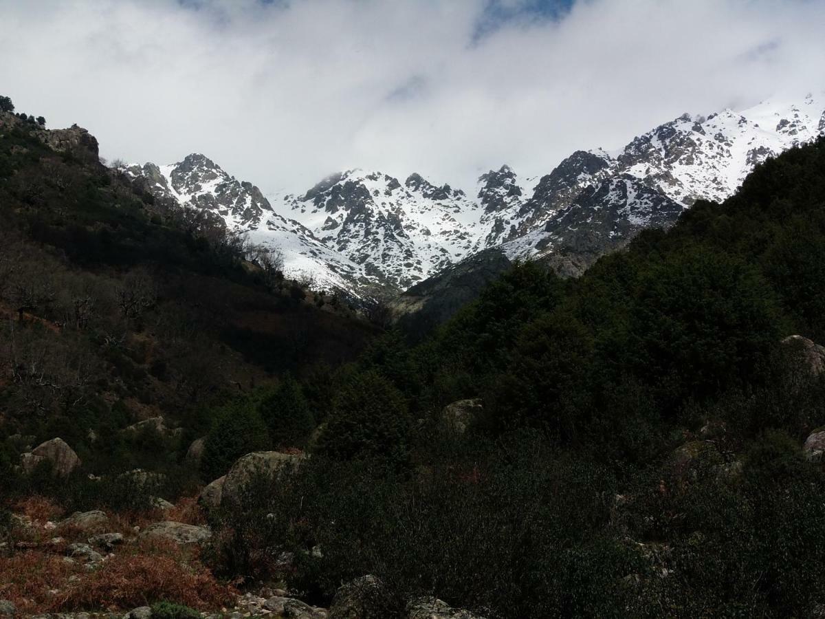 Apartamentos Rurales Ecopangea Valverde de la Vera Экстерьер фото