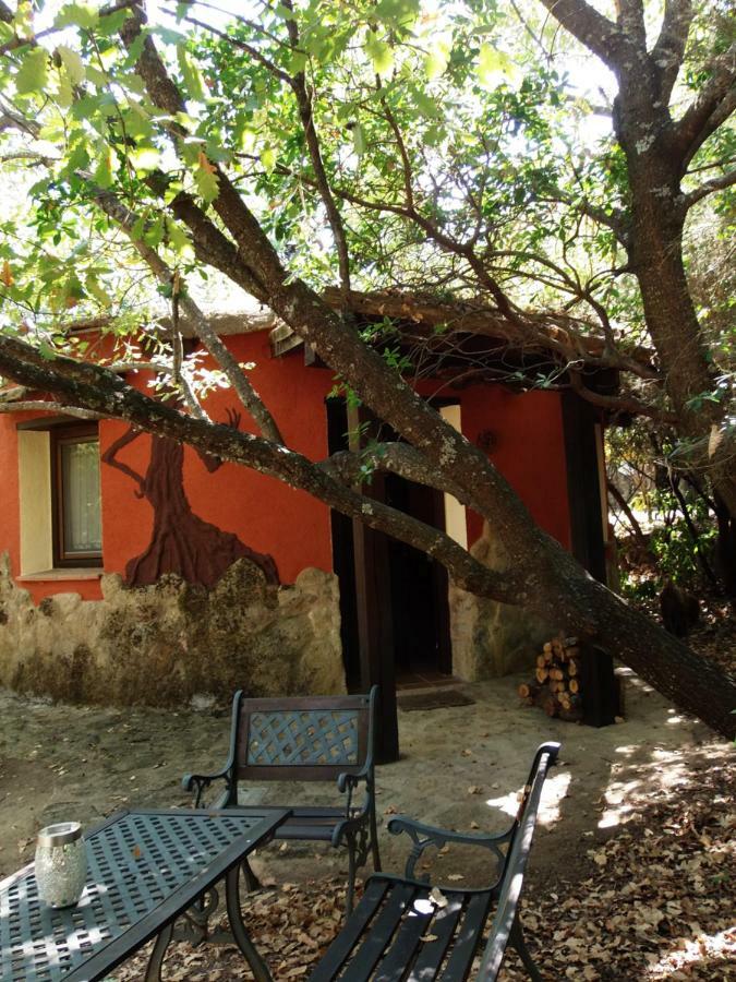 Apartamentos Rurales Ecopangea Valverde de la Vera Экстерьер фото