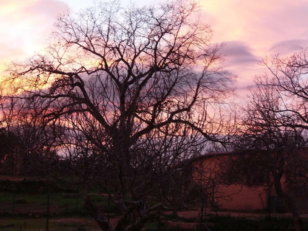 Apartamentos Rurales Ecopangea Valverde de la Vera Экстерьер фото